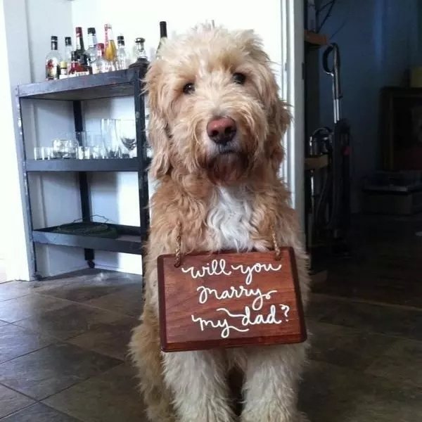 Ide Lamaran, Dari Lego Sampai Buku Harry Potter